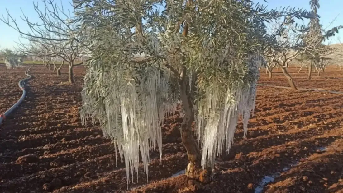 2026 TARSİM Kararı Yayımlandı: Tarımda Risklere Karşı Yeni Güvence