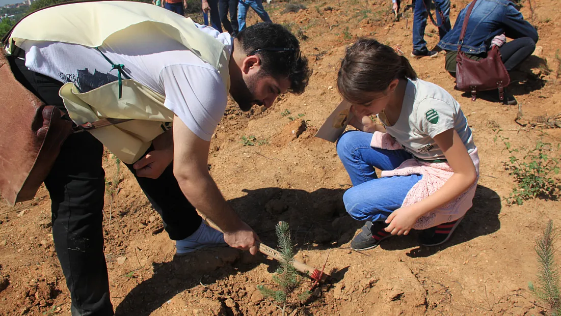 7 Ağaç Ormanları ile Her Ay 10 Bin Fidan