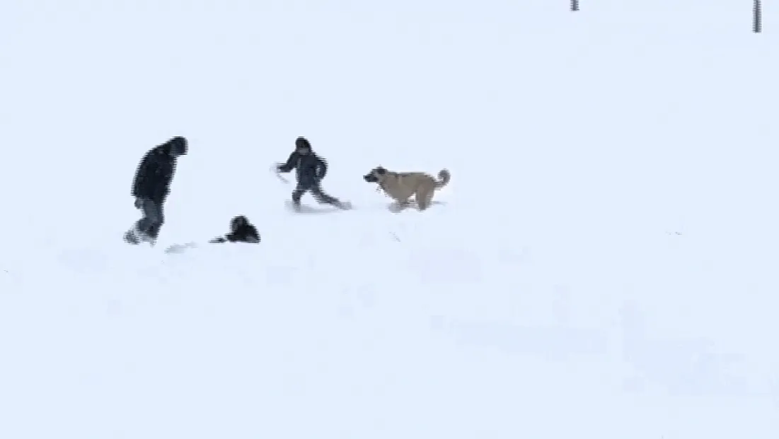 Arguvan’da Kar Altında Gülümseten Görüntüler