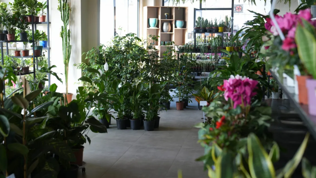 Battalgazi Belediyesi’nden Vatandaşların Yaşam Kalitesini Artıran Hizmetler