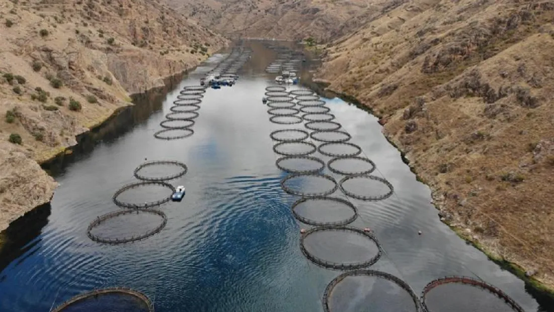 Doğu Anadolu’da Su Ürünleri Yatırımına Yeni Alanlar