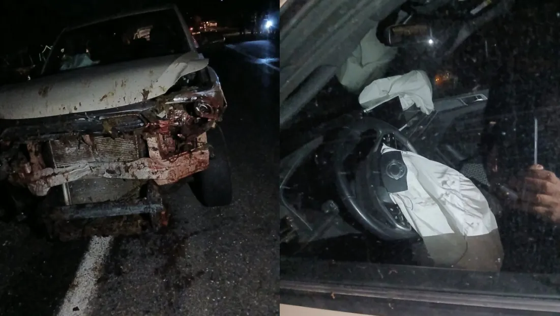 Karakoçan’da Kamyonet Koyun Sürüsüne Çarptı: 30 Hayvan Telef