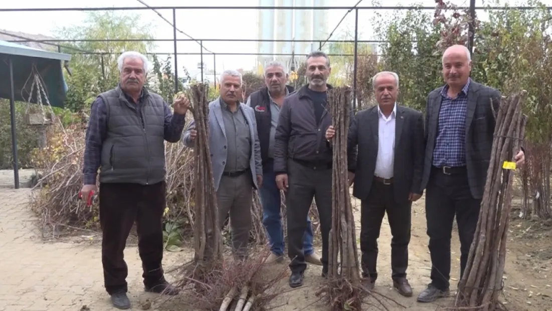 Malatya’da Meyve Fidanı Satış Sezonu Açıldı