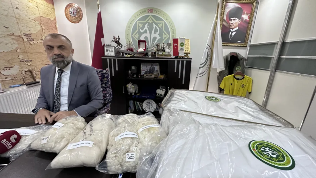 Malatya’da Yünler Çöpe Gitmeyecek: Koyun Keçi Yetiştiricileri Birliği Yünleri Yorgana Dönüştürdü
