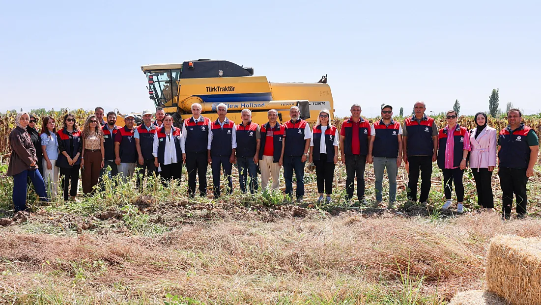 Yazıhan’da Ayçiçeği Bereketi: Dekardan 300 Kilo Bekleniyor