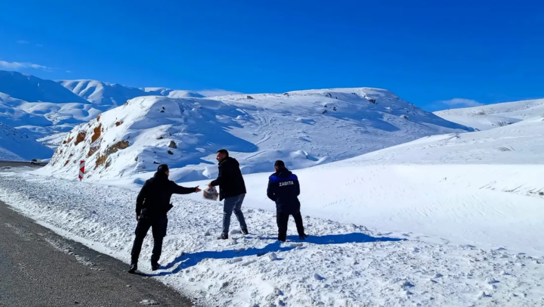 Zabıta’dan Yaban Hayatına Şefkat Eli