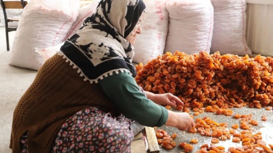 15 Ekim Dünya Çiftçi Kadınlar Günü