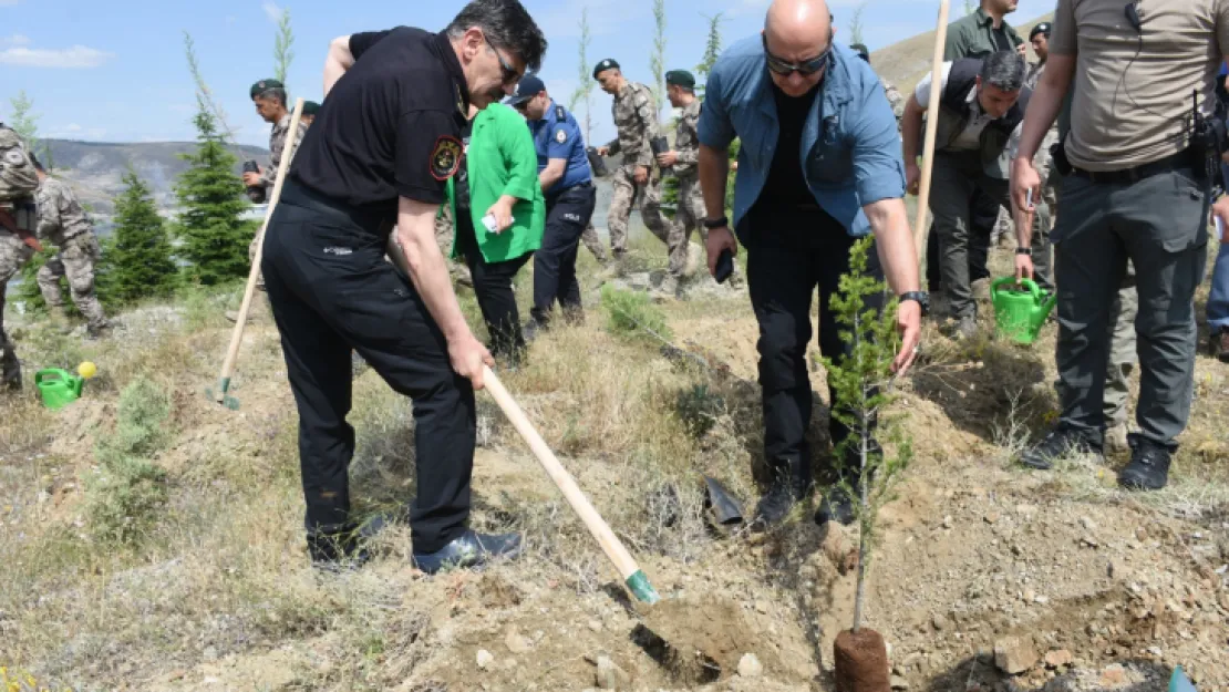 181 canımıza, 181 fidan dikildi