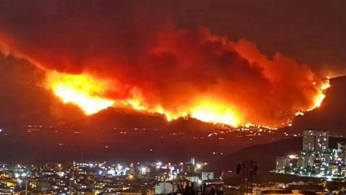 4 ilde orman yangınına müdahale havadan ve karadan devam ediyor