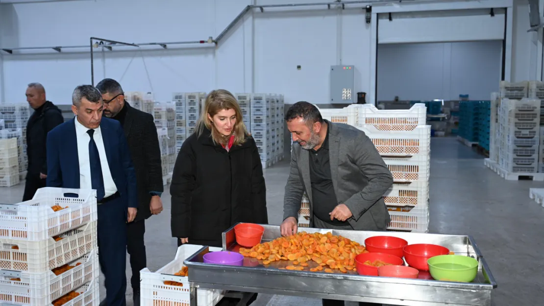 6. Bölge Teşviklerinin 1 Yıl Daha Uzatılması Malatya'mızın Üretim, Sanayisi Ve İstihdamına Büyük Katkılar Saylağacaktır