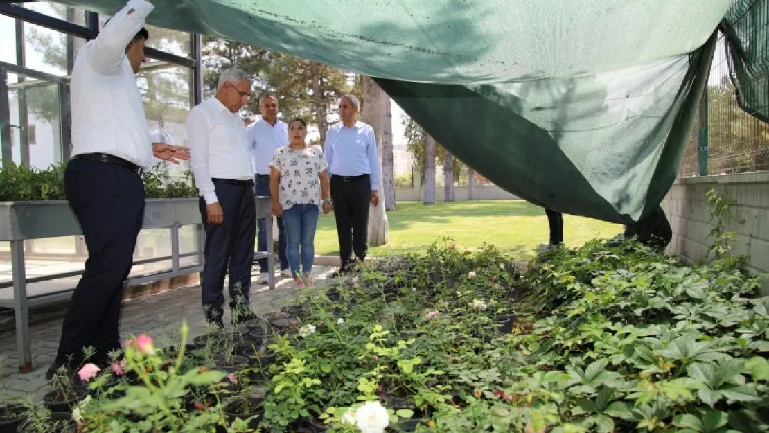 Ak Parti İl Ve İlçe Kadın Kolları, Battalgazi'deki Yatırımları Gezdi