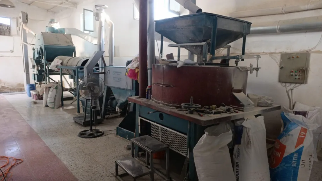 Anadolu'da 250 yıllık değirmen geleneği yaşatılıyor