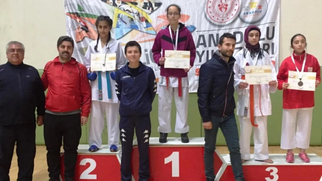 ANALİG Karate Çeyrek Final Müsabakaları Muş'ta Yapıldı