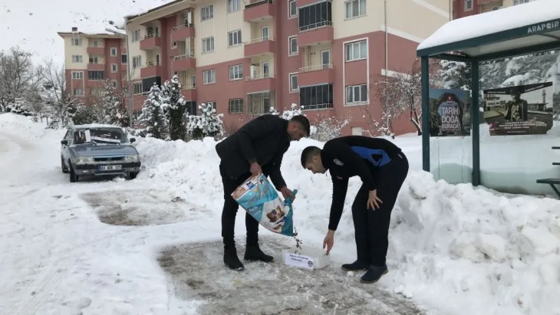Arapgir Belediyesi elverişsiz hava şartlarında sokak hayvanlarını besliyor