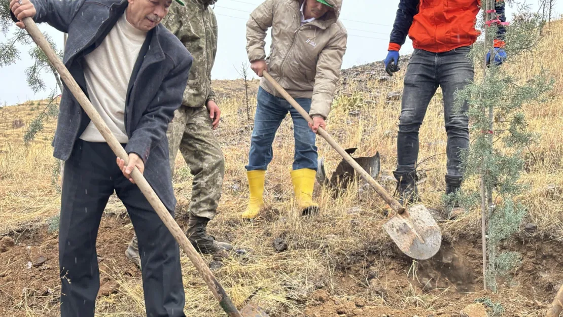 Arapgir'de 11 Kasım Milli Ağaçlandırma Günü kapsamında onlarca fidan toprakla buluştu.