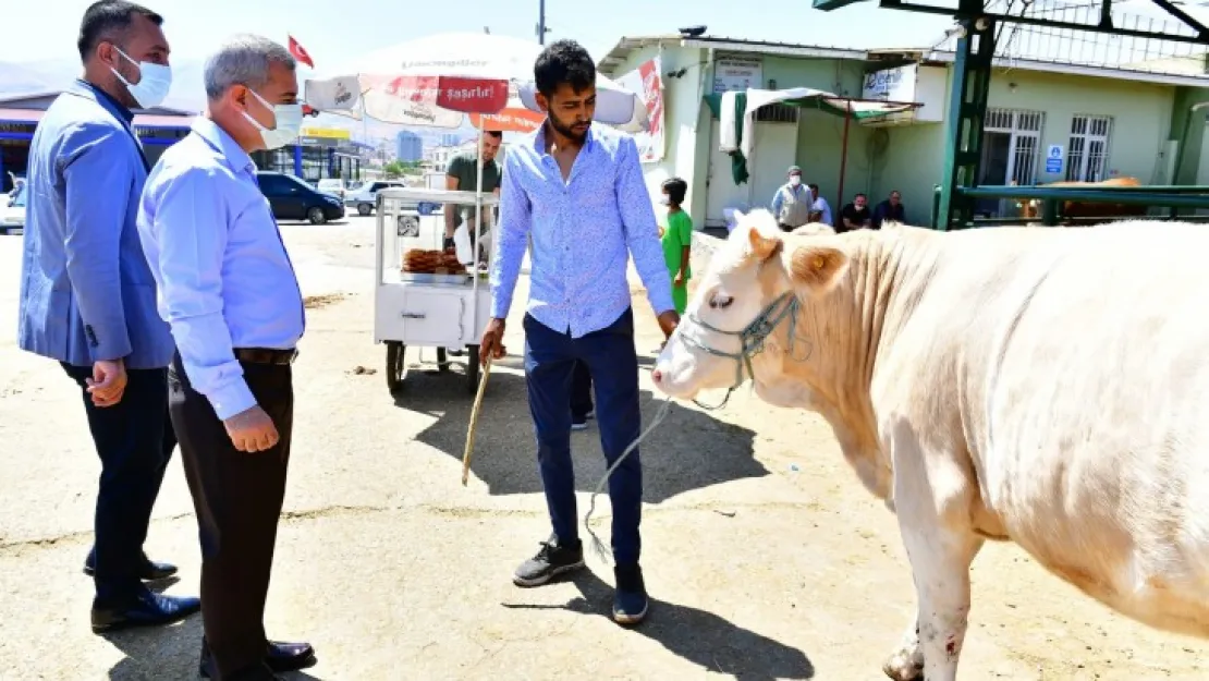 Başkan Çınar, Canlı Hayvan Pazarındaki Son Çalışmaları Yerinde İnceledi