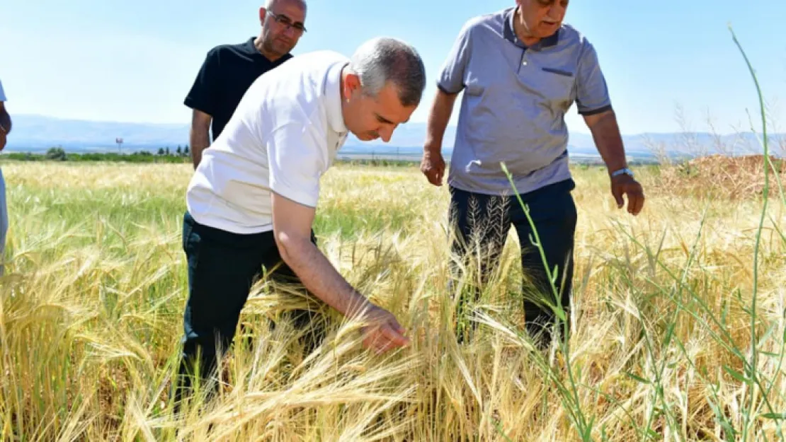 Başkan Çınar: Tarımsal Yatırımlarımızla Ülkemizin Tarım Politikasına Destek Sunuyoruz