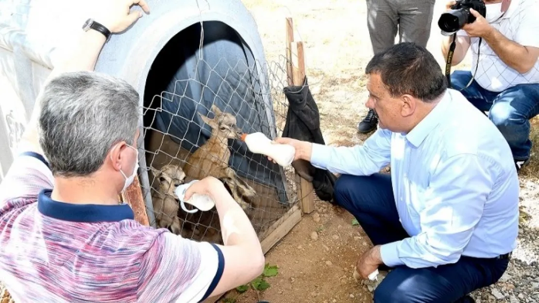 Başkan Gürkan'dan Yaban Hayatı Gözlem Merkezine Ziyaret