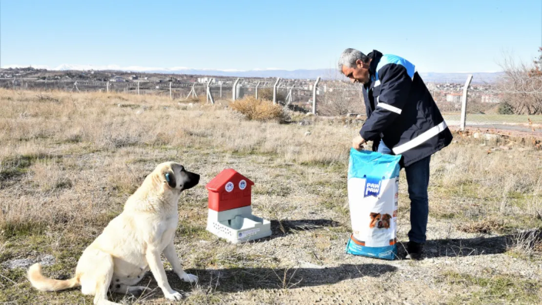 Battalgazi'de Can Dostlar İçin 19 Yeni Besleme Noktası