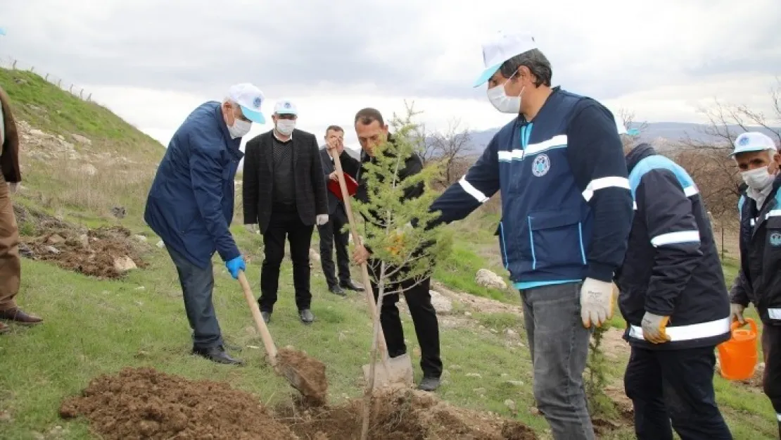 Battalgazi'de 750 Fidan Toprakla Buluştu