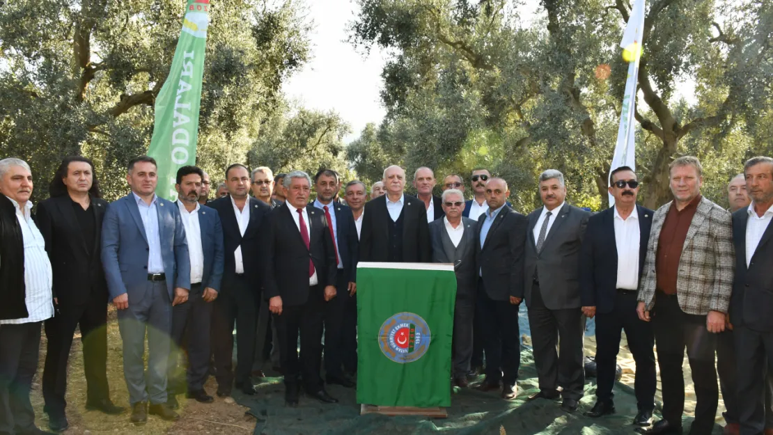 Bayraktar, Bursa'nın İznik ilçesinde zeytin hasat törenine katıldı