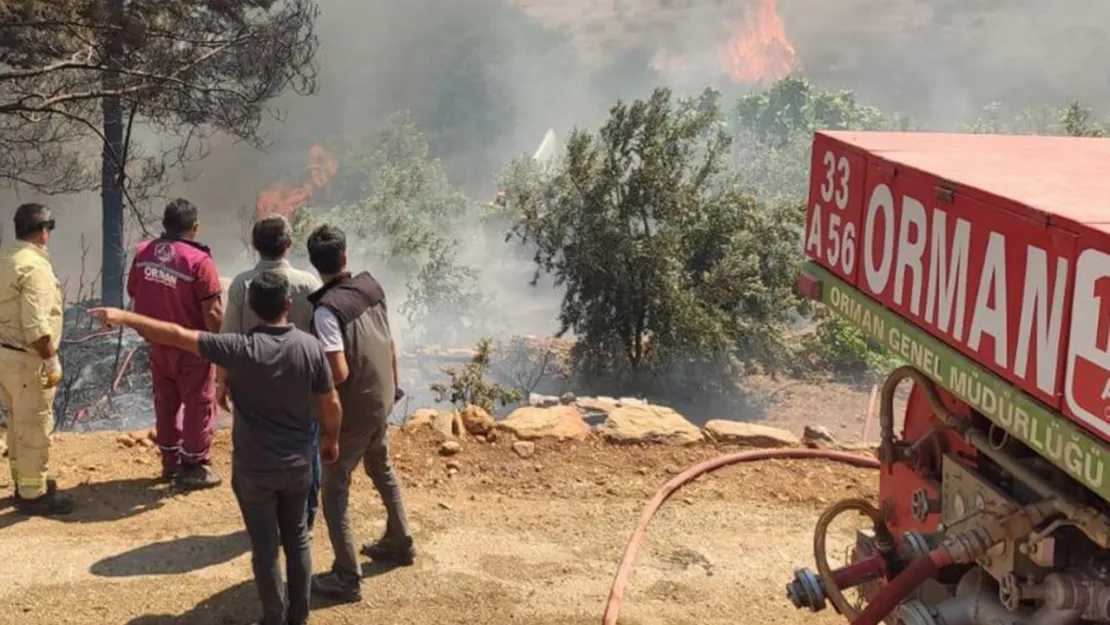 Bursa'daki orman yangınında 20 dönüm zarar gördü