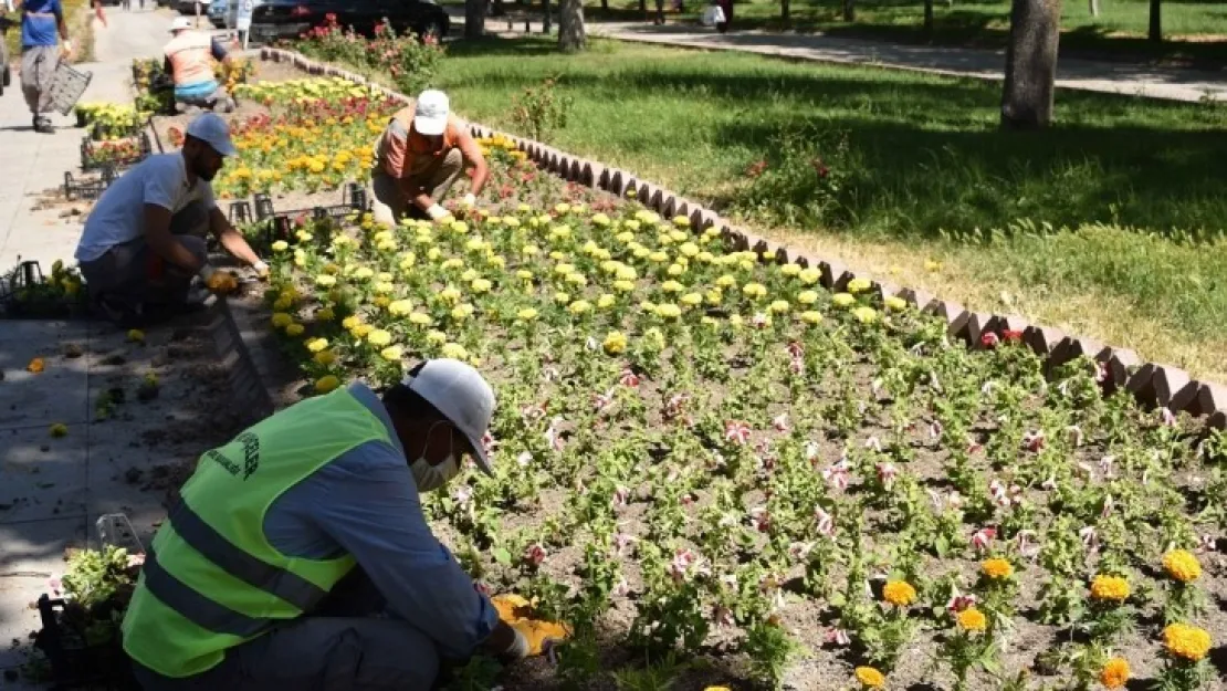 Büyükşehir 2 Milyon 740 Bin Metrekare Yeşil Alanda Çalışma Yürütüyor