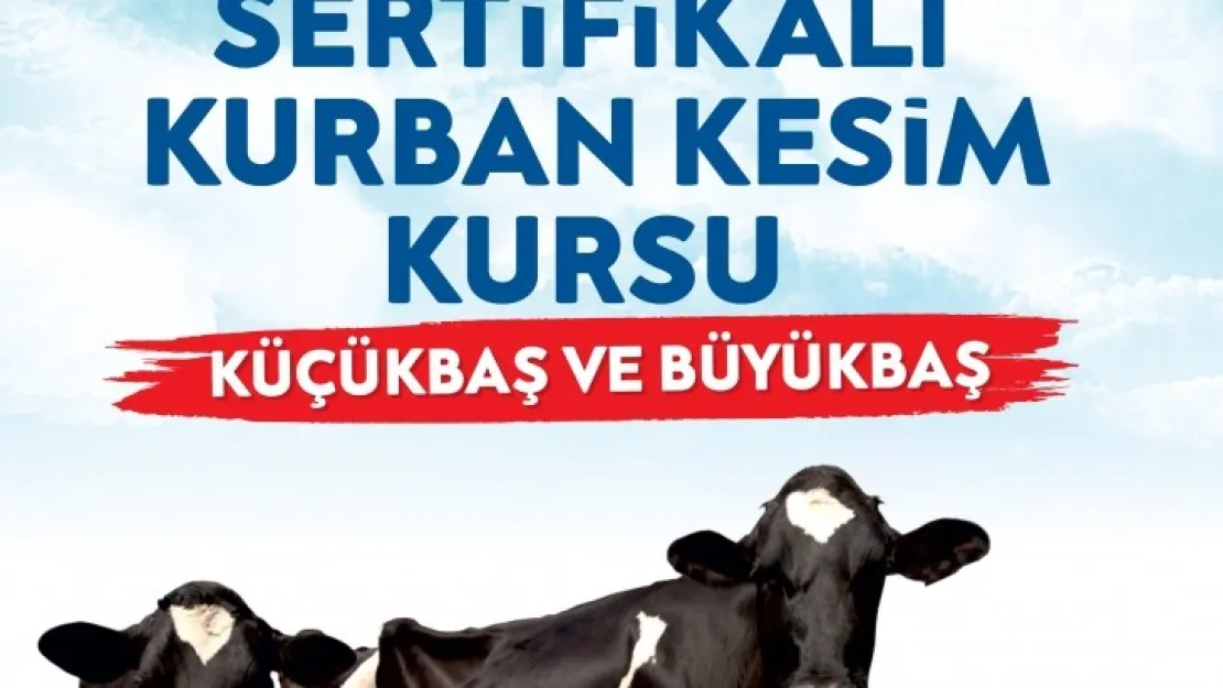 Büyükşehir Belediyesi Kurban Kesim Kursu Düzenliyor