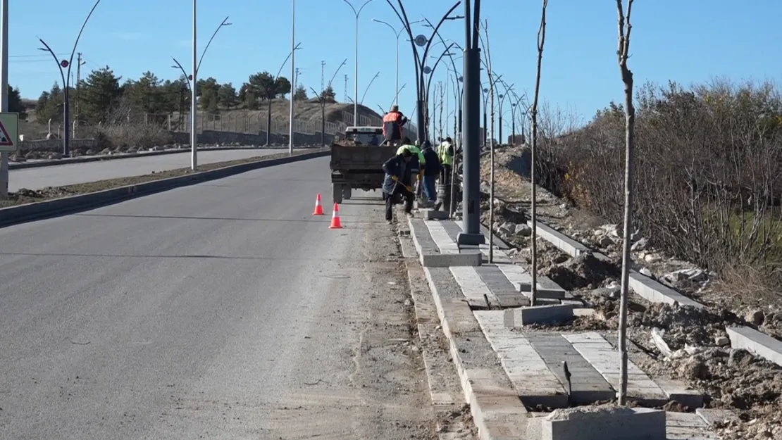 Büyükşehir Belediyesi Kuzey Kuşak Yolu'nu Yeşillendiriyor