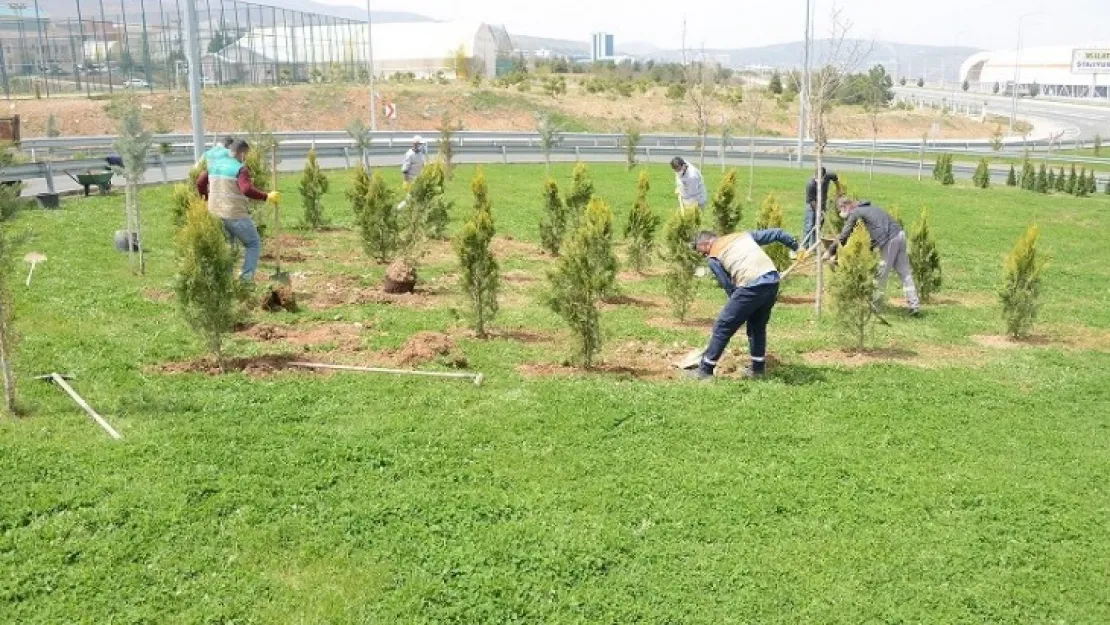 Büyükşehir Belediyesi Parkları Ve Refüjleri Yenileniyor