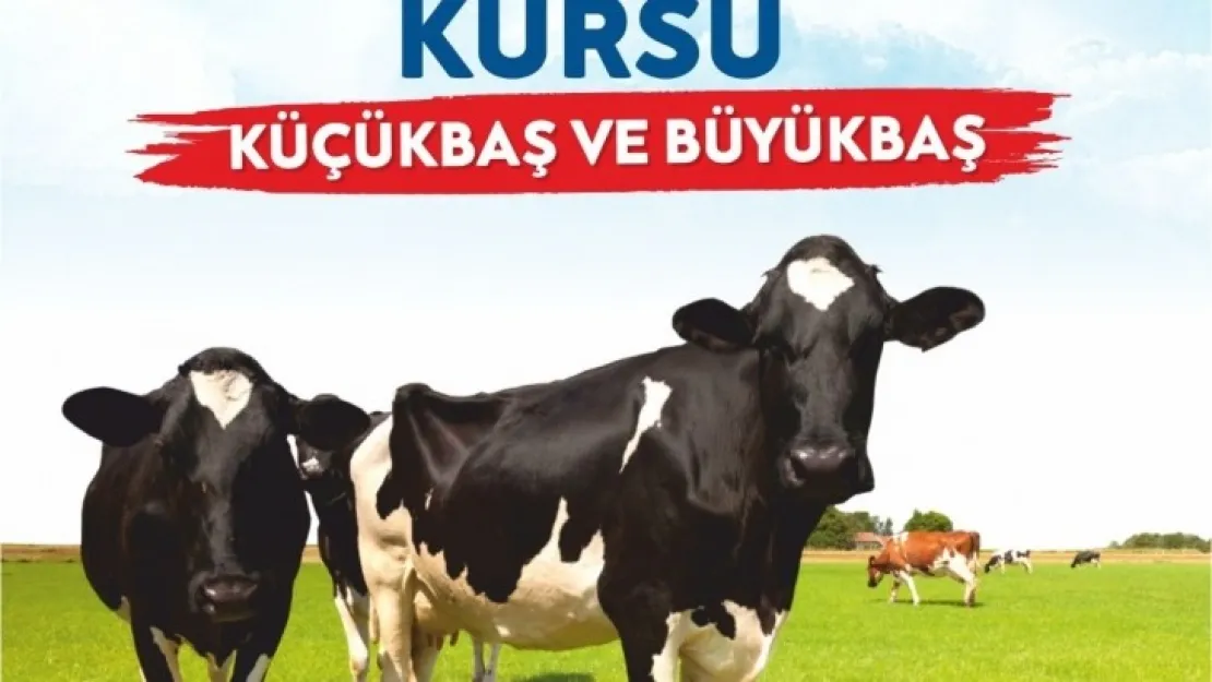 Büyükşehir'den Kurban Kesim Kursu