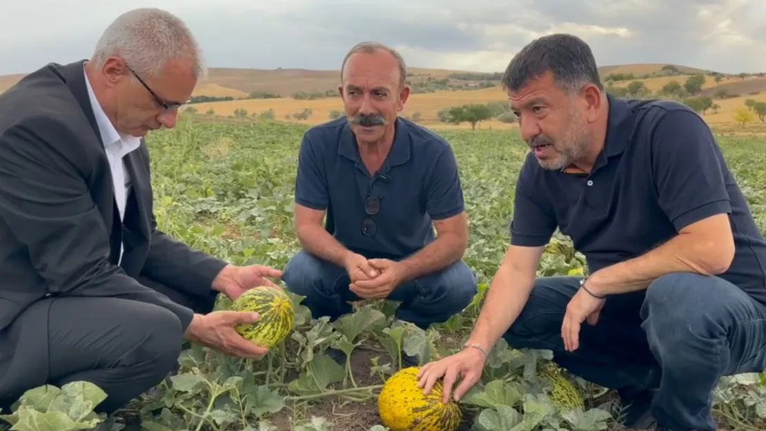 CHP'li Ağbaba: 'Malatya tarımı çökmüş durumda'