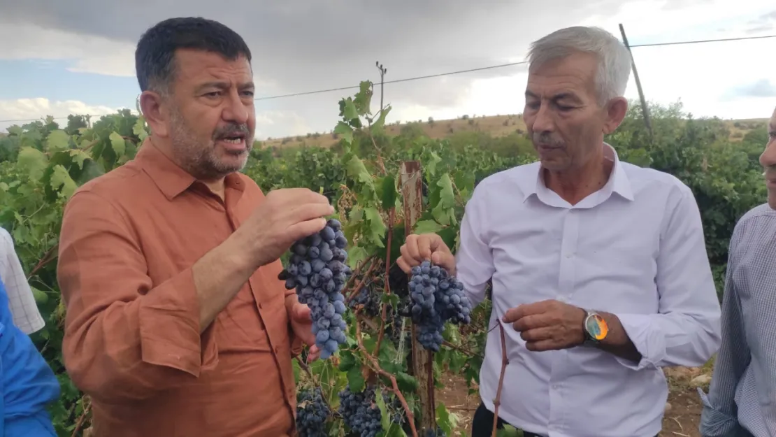 CHP'li Ağbaba: 'Tarım ve Orman Bakanı maalesef tarımdan bihaber yaşıyor'