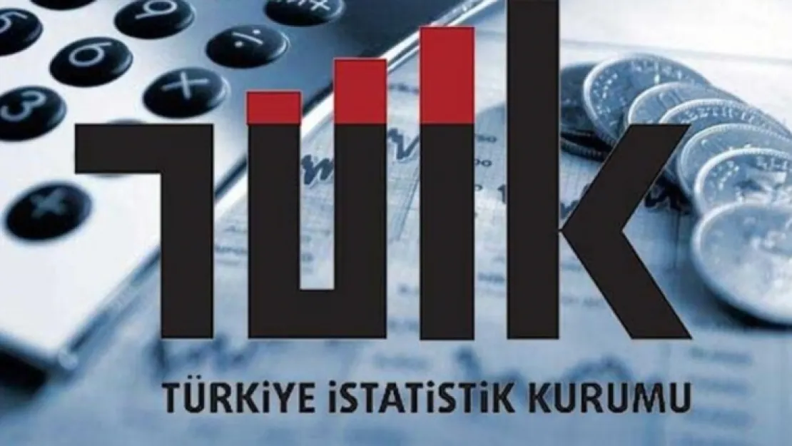 Ciroda en yüksek payı ticaret sektörü aldı