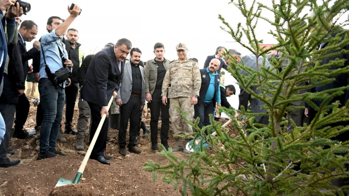 Cumhuriyetimizin 100. Yılı Anısına Binlerce Fidan Dikildi