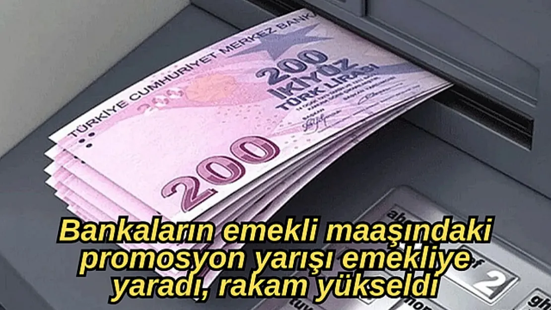 Detaylı emeklilik promosyonları