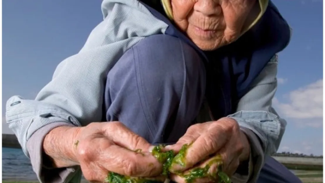 Dünyadaki Uzun Yaşam 'Blue Zones' Mavi Bölgelerin Ortak Sırrı !