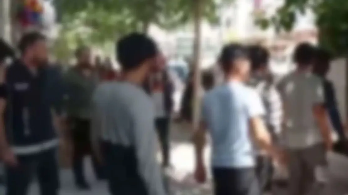 Edirne'de 282 düzensiz göçmen ve 5 organizatör yakalandı