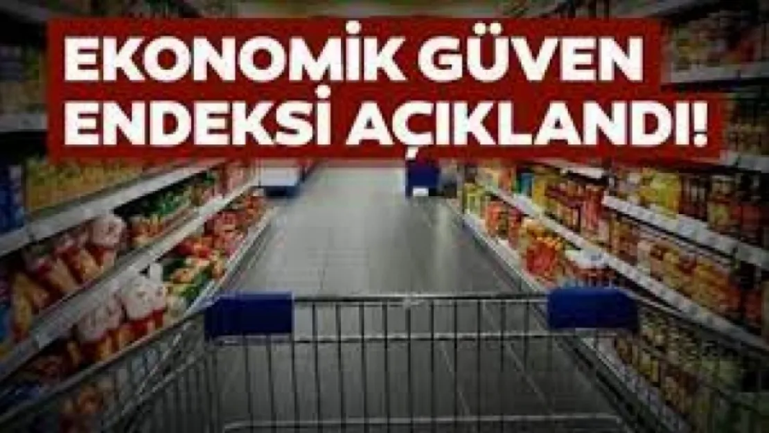 Ekonomik güven endeksi 100,0 oldu