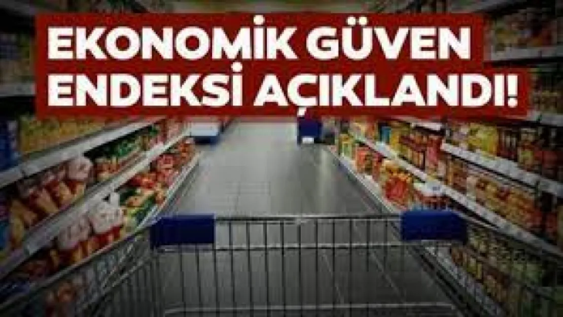 Ekonomik güven endeksi 97,6 oldu