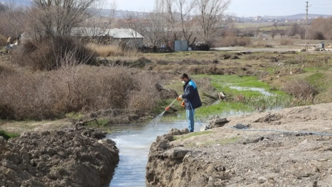 Elazığ Belediyesi'nden Larva İle Mücadele