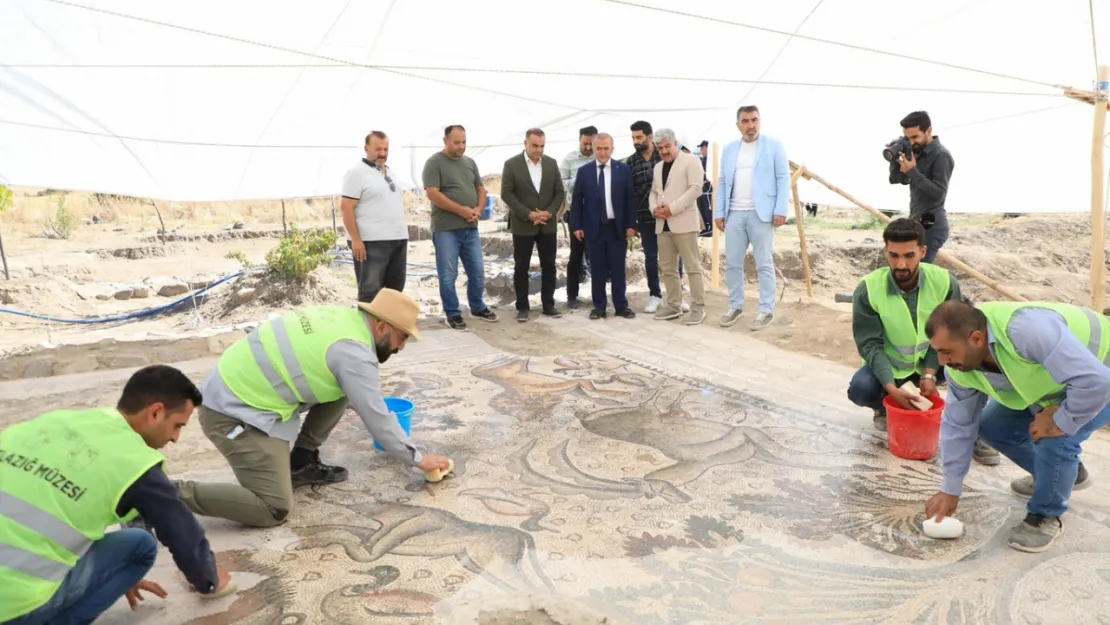 Elazığ'da 84 metrekarelik tek parça tarihi mozaik bulundu