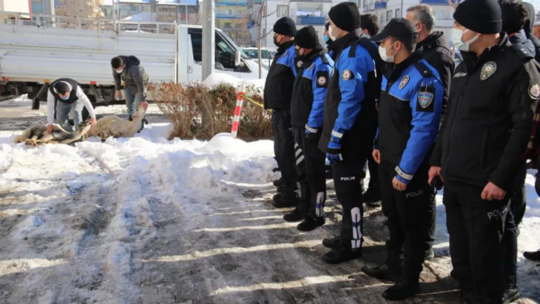 Emniyet Müdürlüğü Bahçesinde Kurban Kesildi