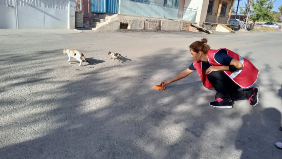 Engelsiz Kızılay Ekibinden '4 Ekim Hayvanları Koruma Günü' Etkinlikleri