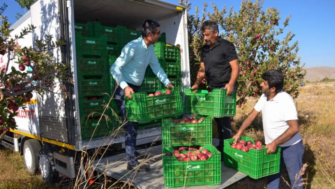 Esenlik'ten Yerel Üreticilere Tam Destek