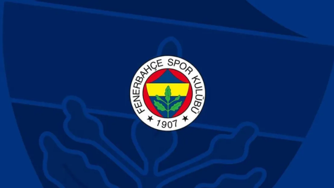 Fenerbahçe, Feyenoord'u 5-2 Yenerek Şampiyonlar Ligi Play-Off Turuna Yükseldi