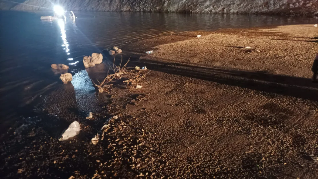 Gölete Düşen Araç'tan kendi imkanları ile kurtuldular