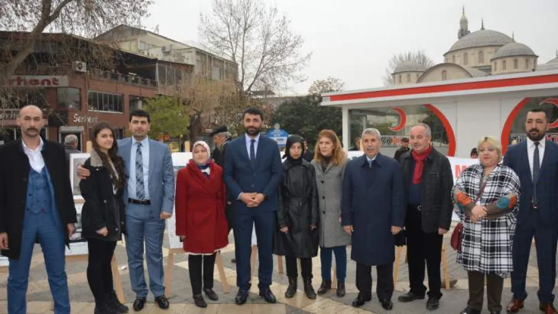 Mhp Kadın Kolları'ndan Kutlama