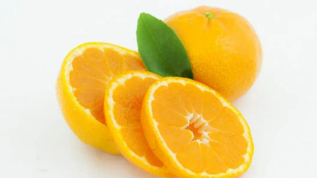 Ege Bölgesi Narenciye Rekoltesinde rekor artış