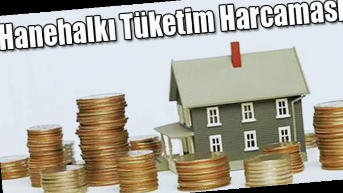 Hanehalkı Tüketim Harcaması